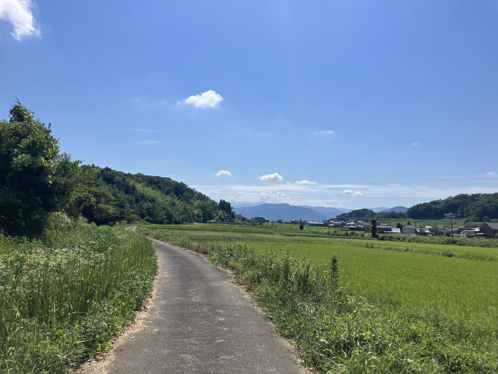 富山の駅巡り　JR高山線　越中八尾ー笹津11.5kmの写真6