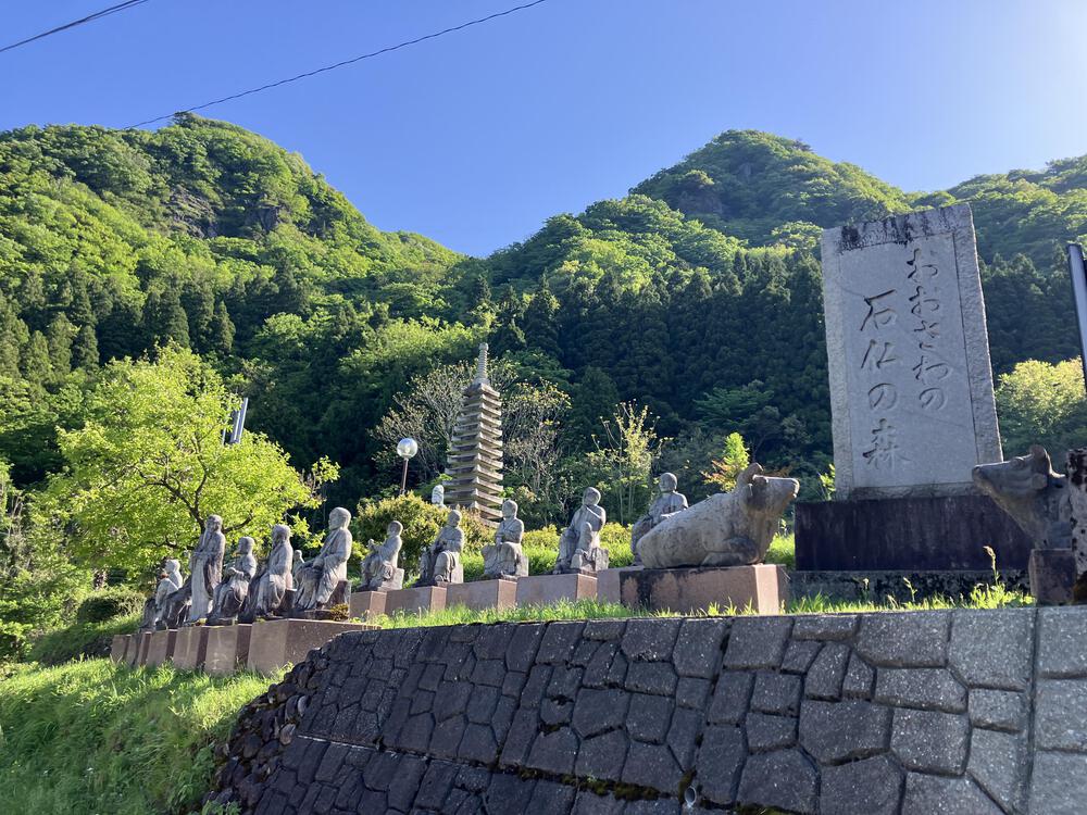 富山の駅巡り　JR高山線　笹津ー猪谷15kmの写真9