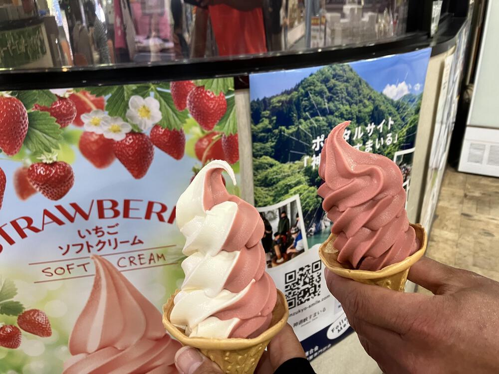 富山の駅巡り　JR高山線　笹津ー猪谷15kmの写真20