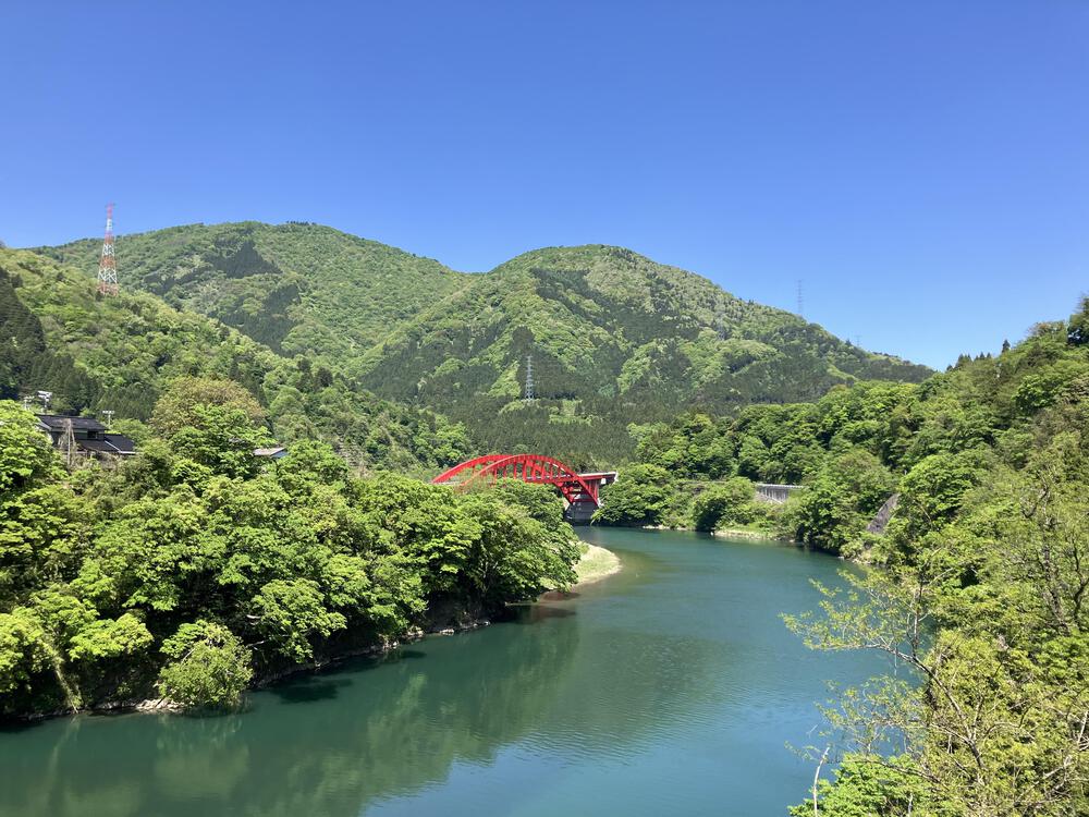 富山の駅巡り　JR高山線　笹津ー猪谷15kmの写真25