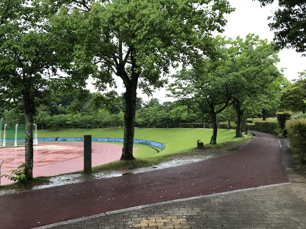 伊万里周辺を巡るライトジョギングコースの写真5