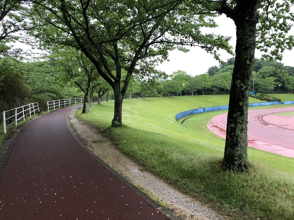 伊万里周辺を巡るライトジョギングコースの写真6