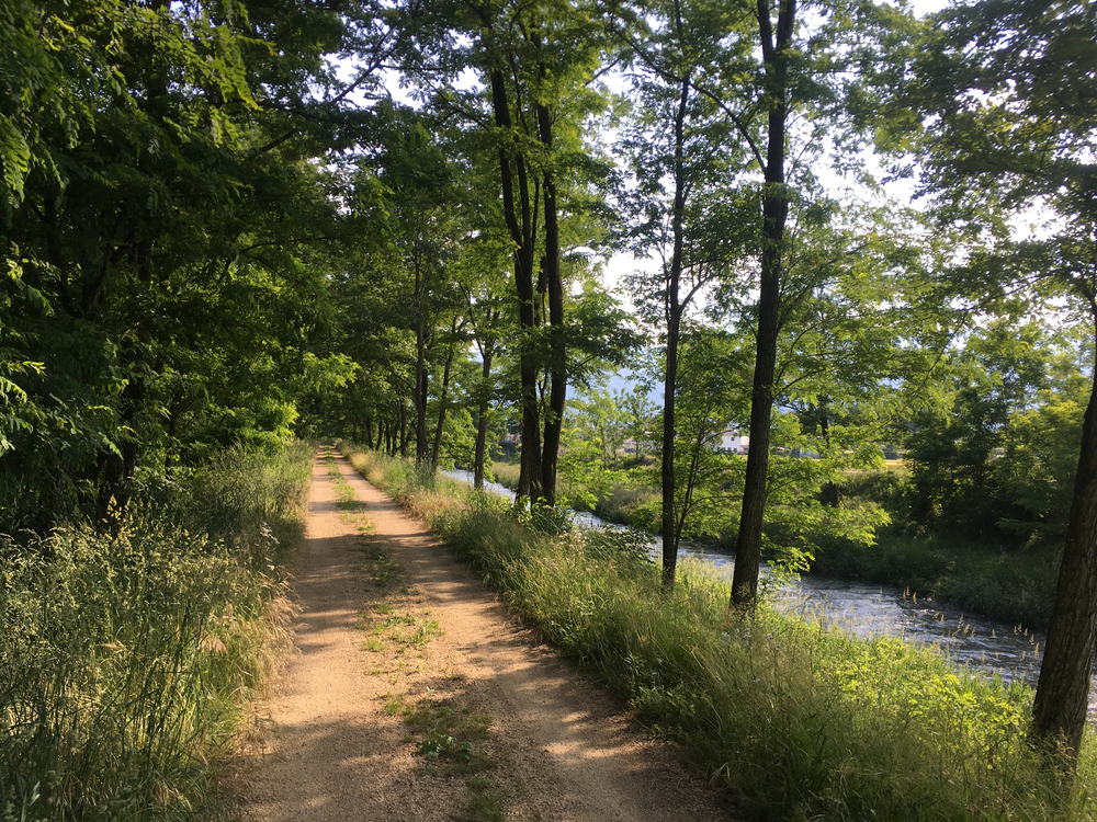 自然を満喫！安曇野観光ランの写真9