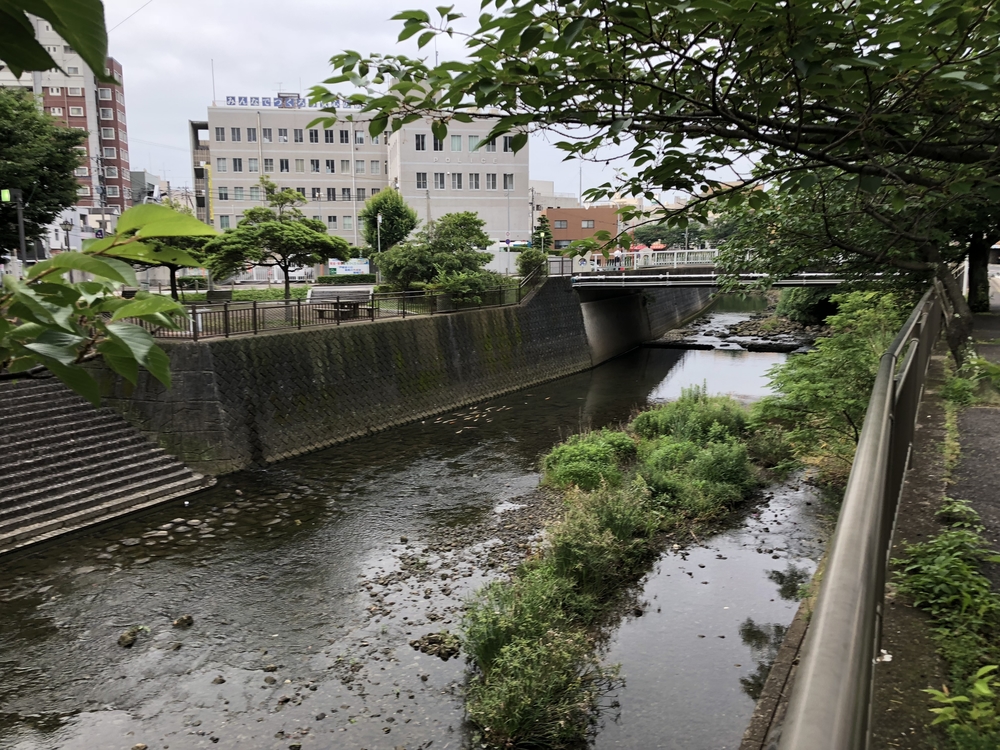 佐世保駅前から佐世保市役所までの往復観光コースの写真16