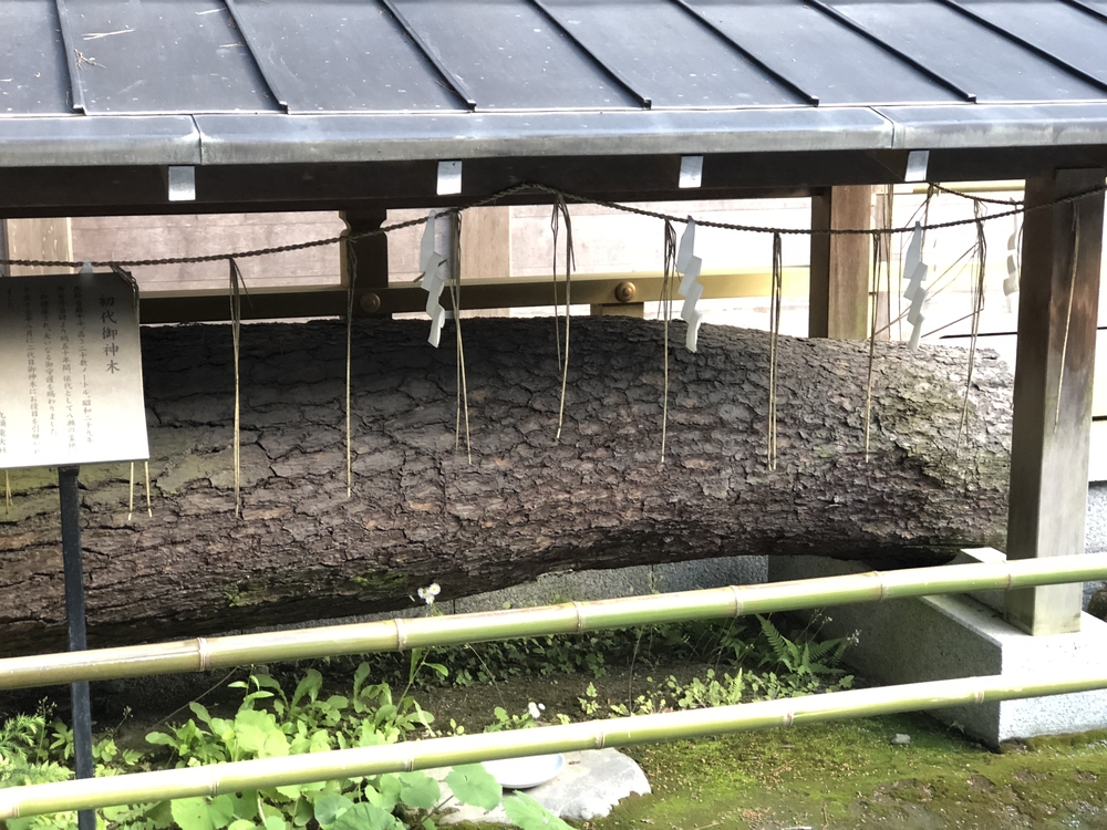 八瀬比叡山口駅から大原方面の写真9