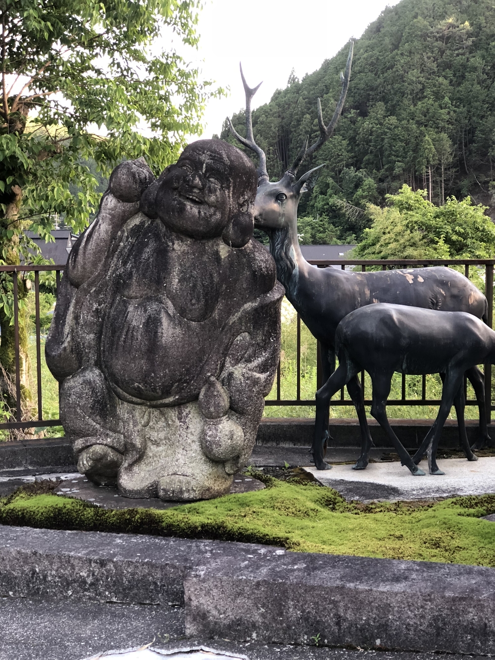 八瀬比叡山口駅から大原方面の写真19
