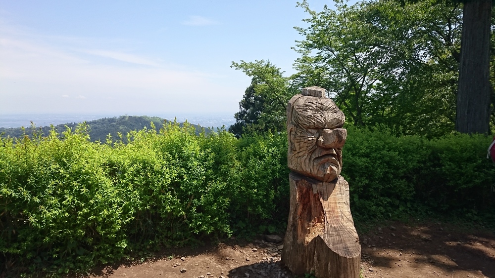 高尾山口⇔自然研究路”6号路”⇔高尾山⇔一丁平⇔小仏城山⇔小仏峠⇔影信山の写真4