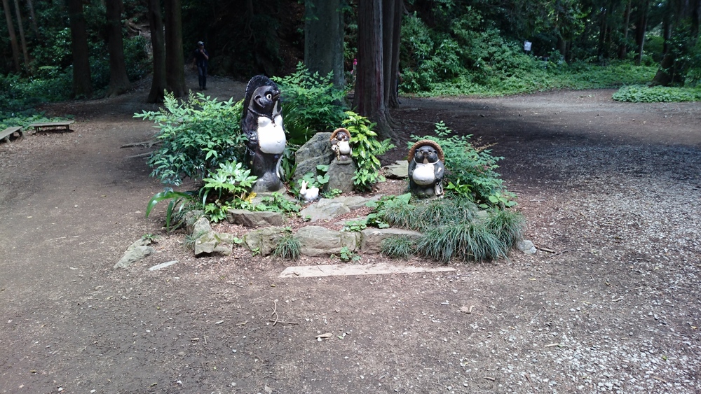 高尾山口⇔自然研究路”6号路”⇔高尾山⇔一丁平⇔小仏城山⇔小仏峠⇔影信山の写真5