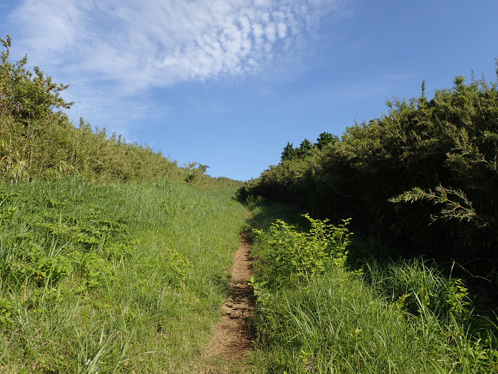 芦ノ湖ぐるりトレイル&湖畔ロード36kmの写真3