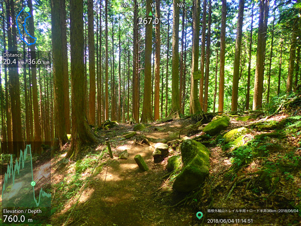 芦ノ湖ぐるりトレイル&湖畔ロード36kmの写真6