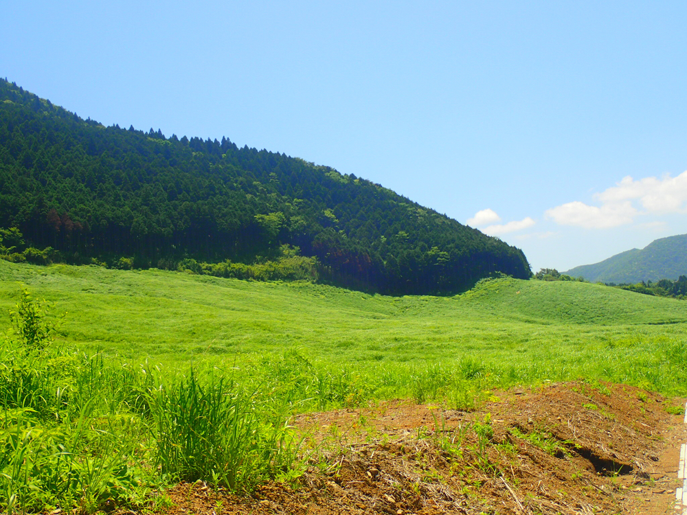 芦ノ湖ぐるりトレイル&湖畔ロード36kmの写真7