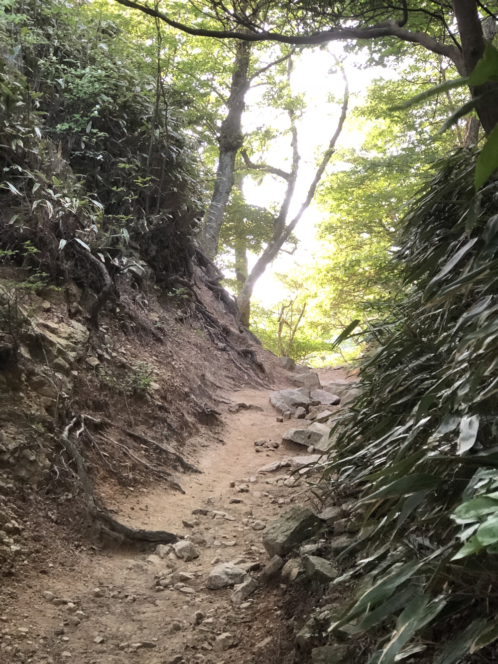 六甲山頂ロープウェイから六甲山頂経由して、魚屋道で有馬温泉の写真7