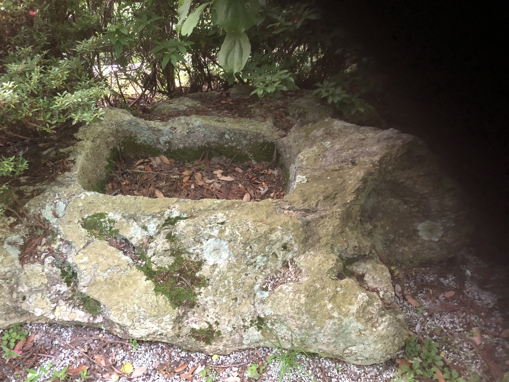 六甲山頂ロープウェイから六甲山頂経由して、魚屋道で有馬温泉の写真11