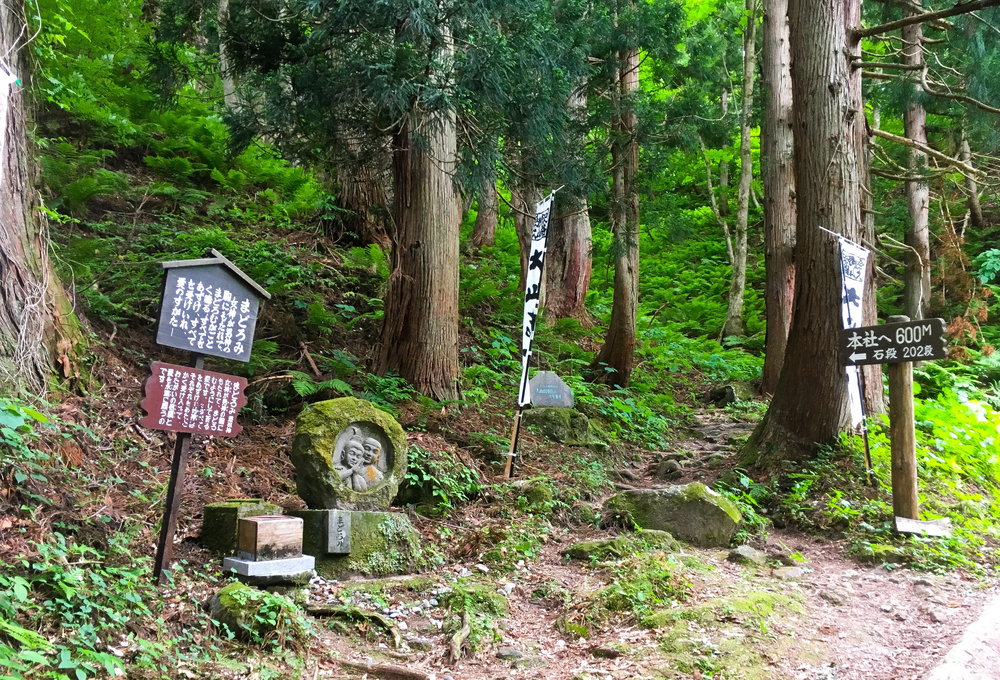 【6月限定】大山祇神社御本社参道トレイルの写真3