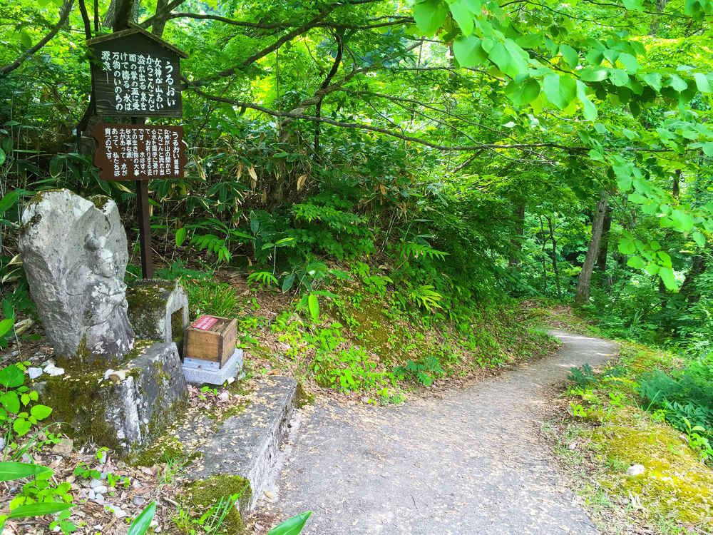 【6月限定】大山祇神社御本社参道トレイルの写真7