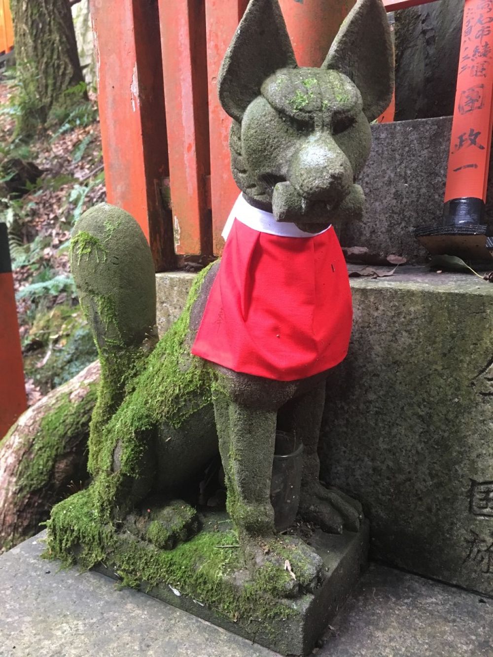 Fushimi-Inari Shrineの写真4