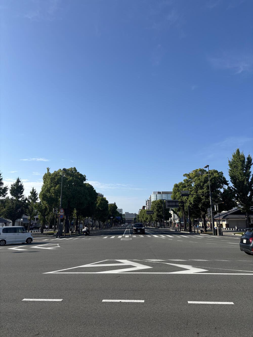 歌川広重と共にRUN 姫路の写真3