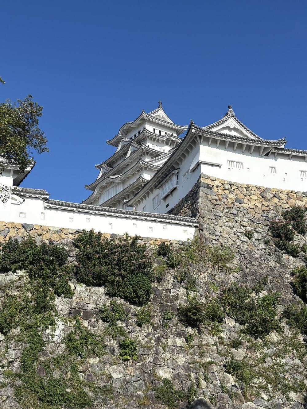 歌川広重と共にRUN 姫路の写真5