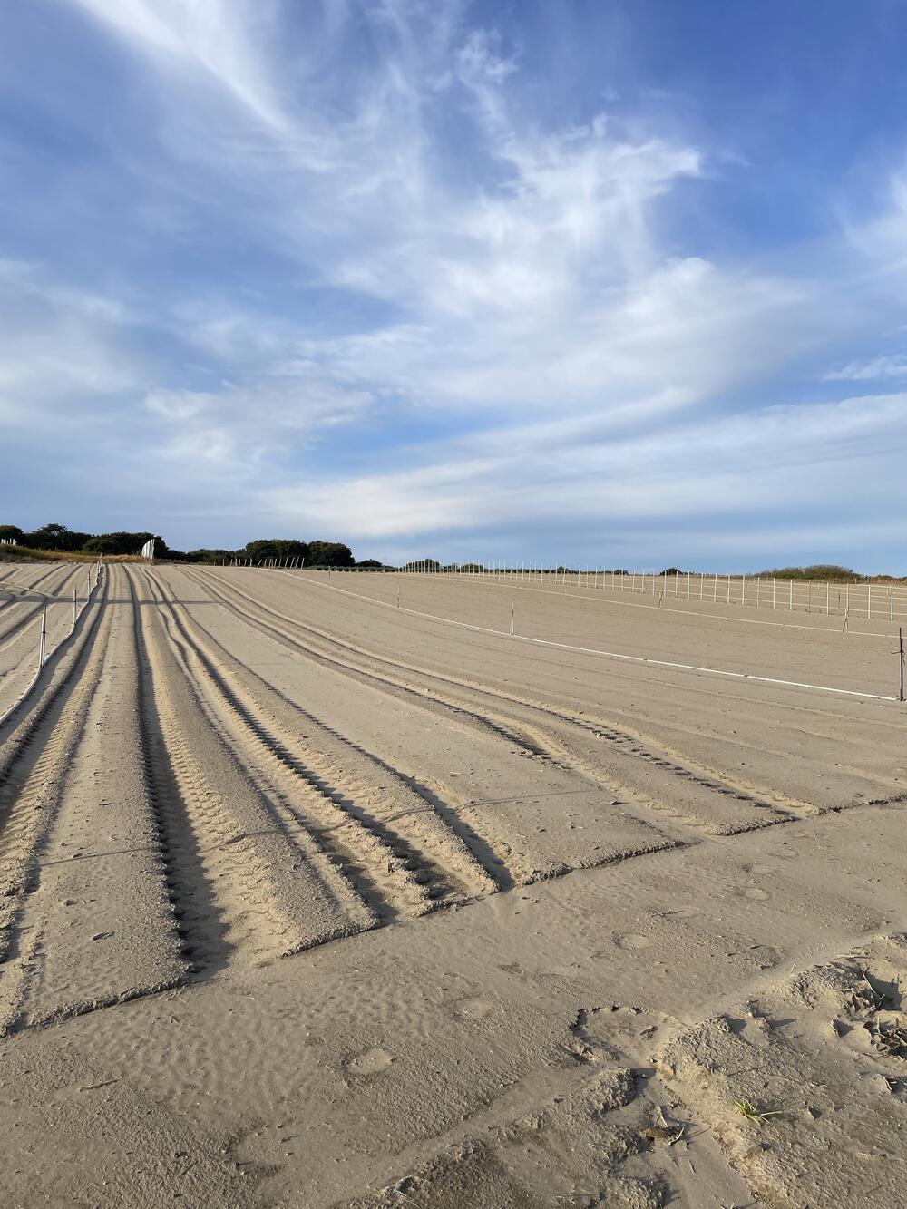 砂丘と湖面がつむぐ佐潟のひとときの写真4