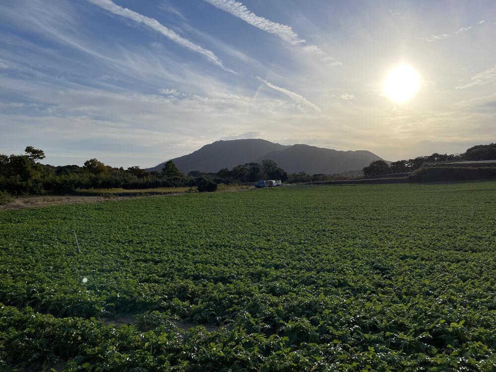 砂丘と湖面がつむぐ佐潟のひとときの写真5