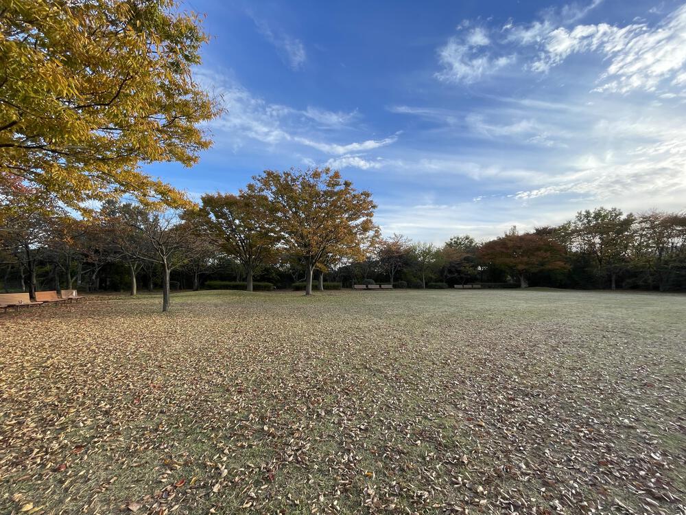 砂丘と湖面がつむぐ佐潟のひとときの写真6