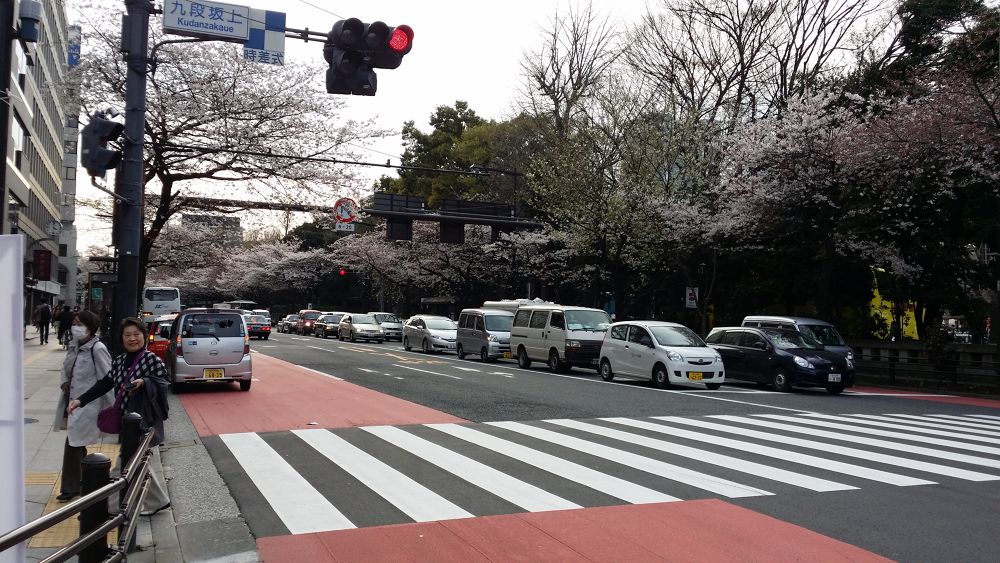 お花見ラン！竹橋〜北の丸〜靖国神社〜市ヶ谷の写真6