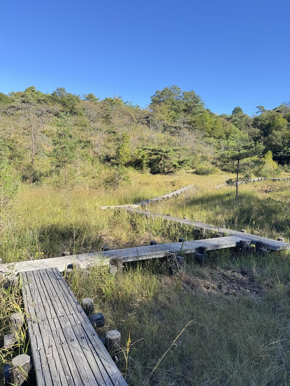 軽めのトレイルランニングにおすすめの写真7