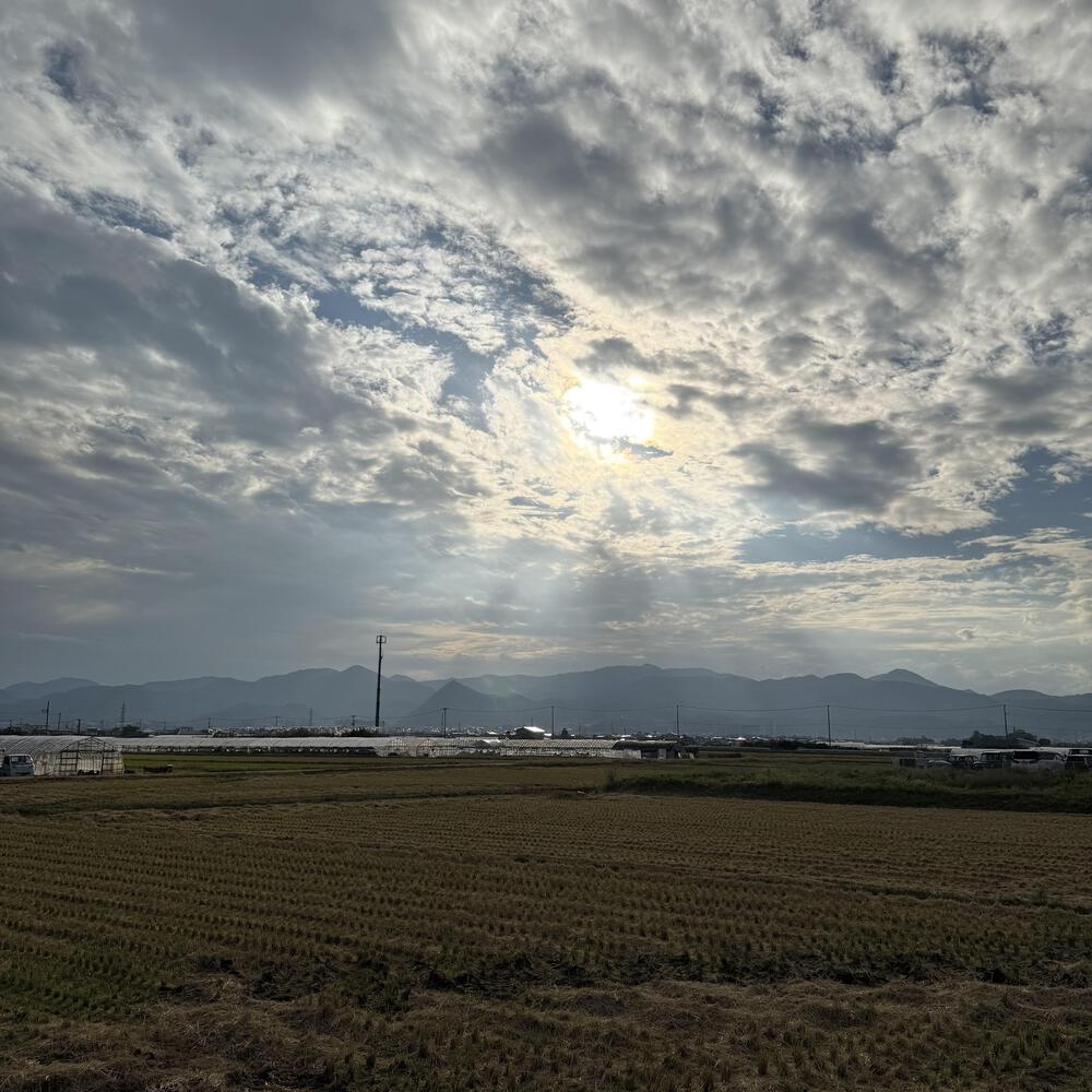 【山形駅西口発周回15km】山々の展望と田園の彩り爽快の写真9