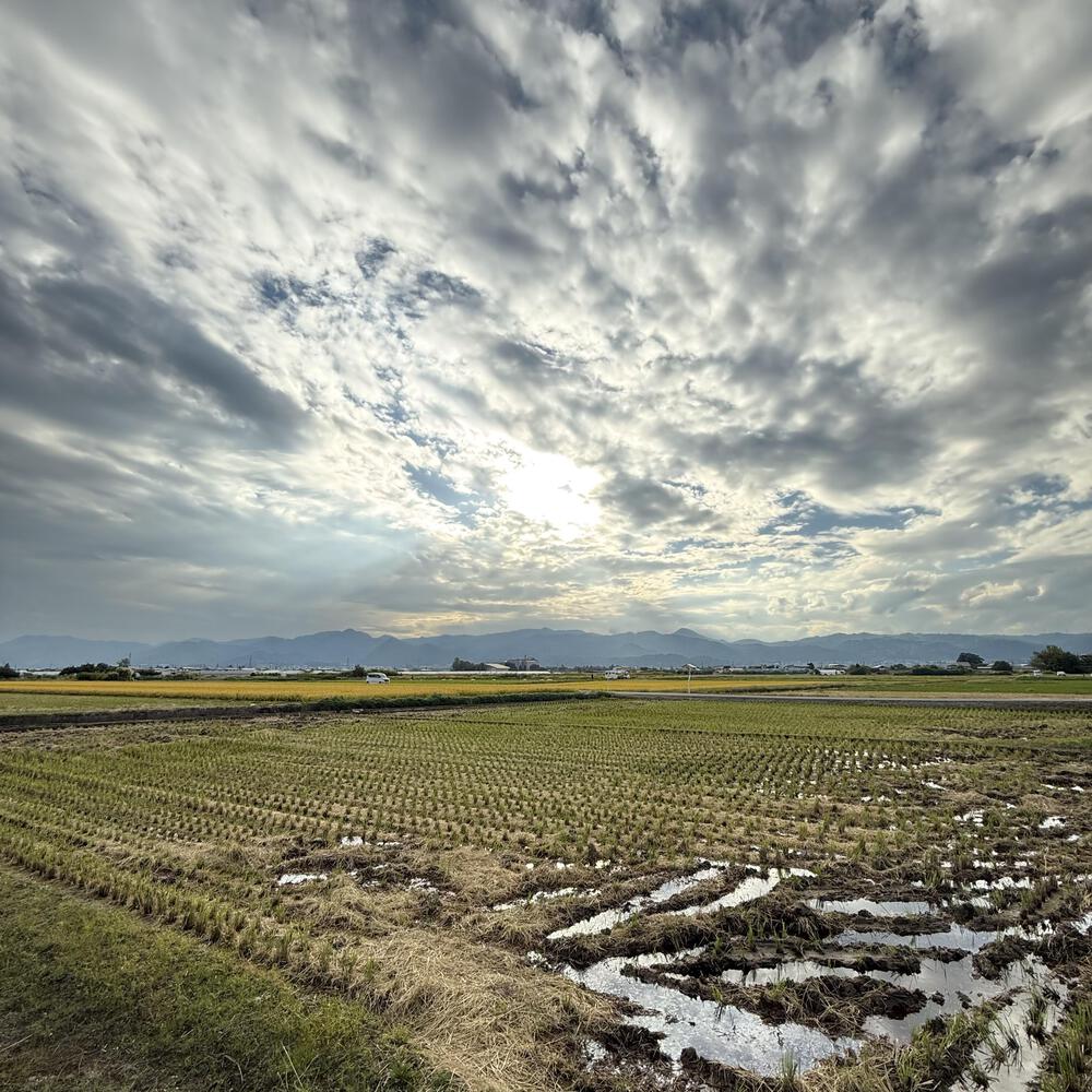 【山形駅西口発周回15km】山々の展望と田園の彩り爽快の写真10