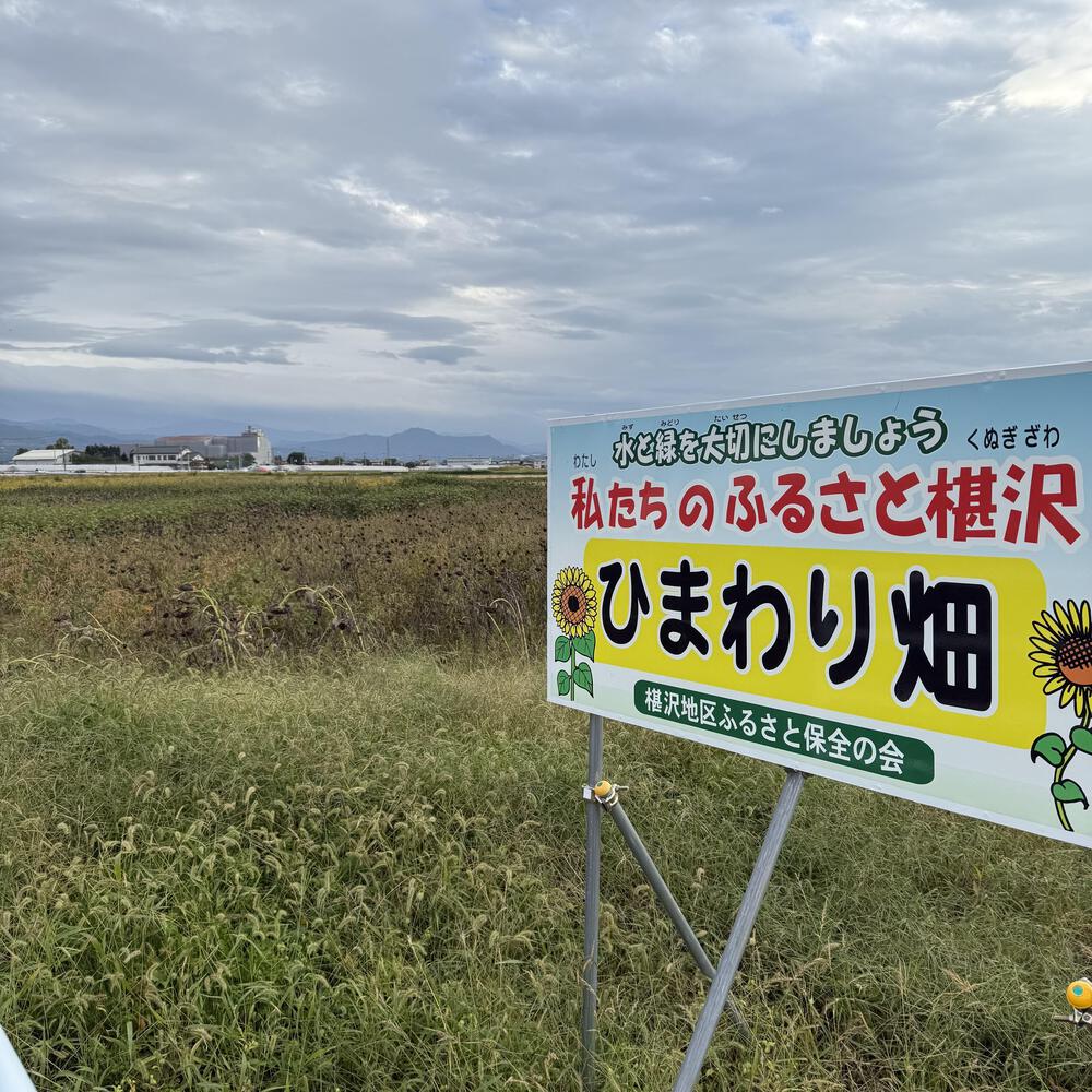 【山形駅西口発周回15km】山々の展望と田園の彩り爽快の写真13