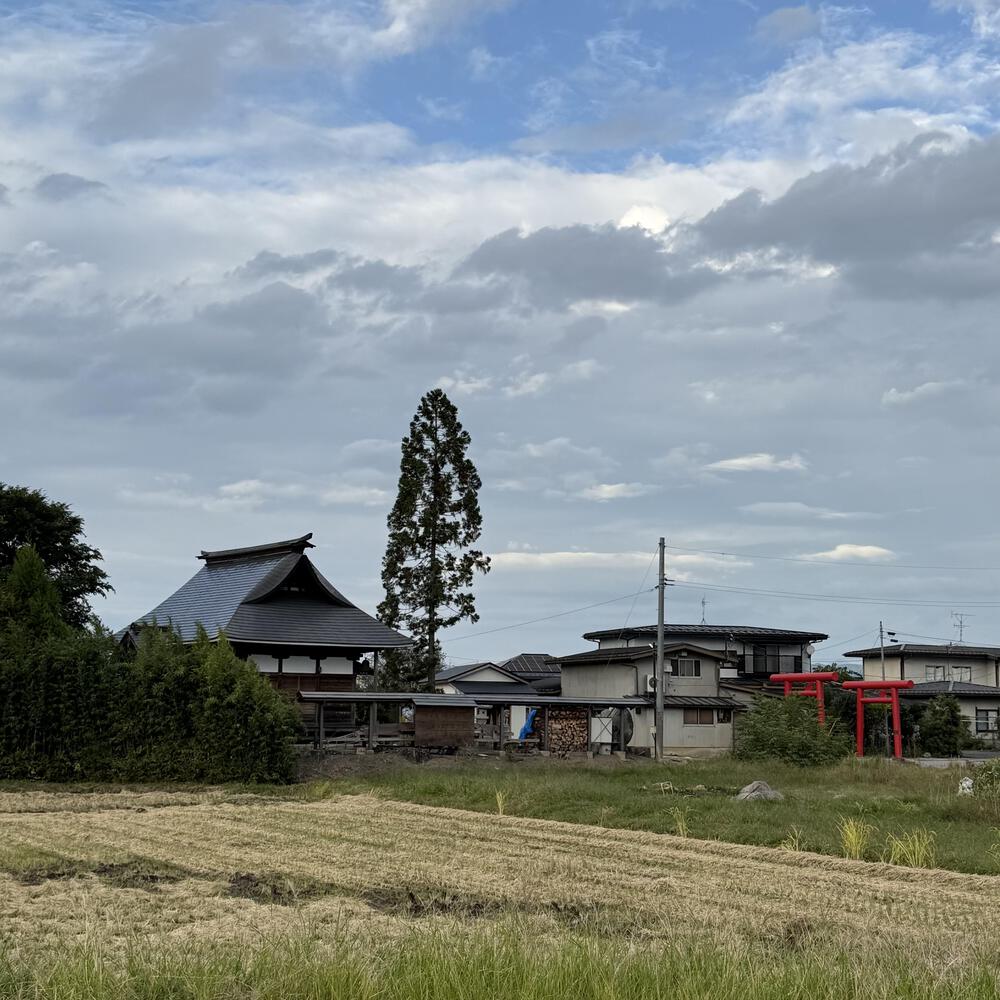 【山形駅西口発周回15km】山々の展望と田園の彩り爽快の写真14