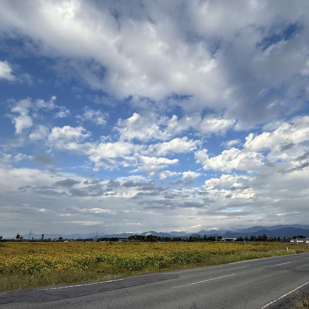 【山形駅西口発周回15km】山々の展望と田園の彩り爽快の写真16