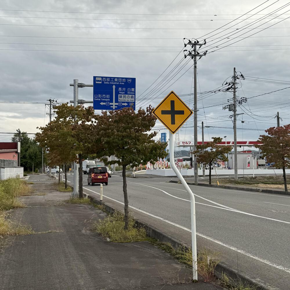 【山形駅西口発周回15km】山々の展望と田園の彩り爽快の写真26
