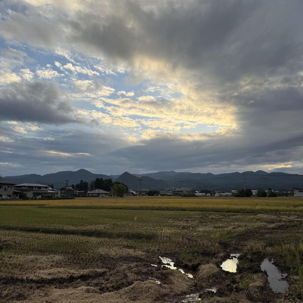 【山形駅西口発周回15km】山々の展望と田園の彩り爽快の写真31