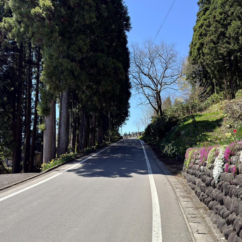 道の駅たかのす大太鼓の里発周回10kmの写真5