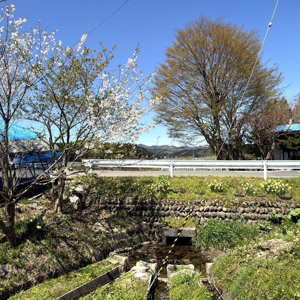 道の駅たかのす大太鼓の里発周回10kmの写真13
