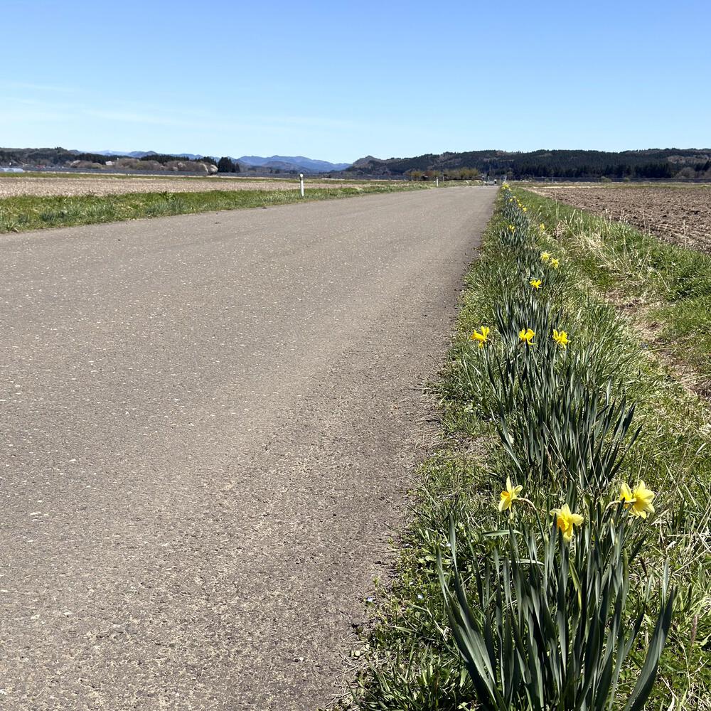道の駅たかのす大太鼓の里発周回10kmの写真17