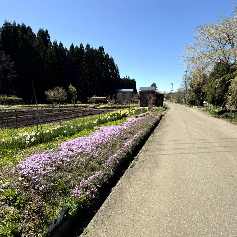 道の駅たかのす大太鼓の里発周回10kmの写真34