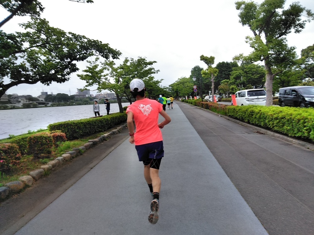 偕楽園桜山第三駐車場発着！千波湖メロンメロンラン10kmコースの写真4