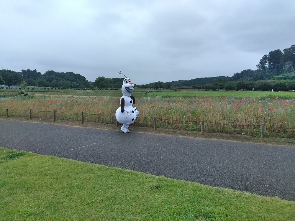 偕楽園桜山第三駐車場発着！千波湖メロンメロンラン10kmコースの写真9