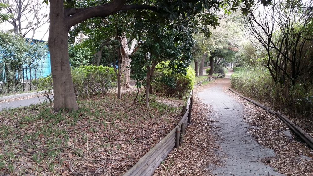 空港（周辺）ラン！羽田を取巻く島めぐりの写真10