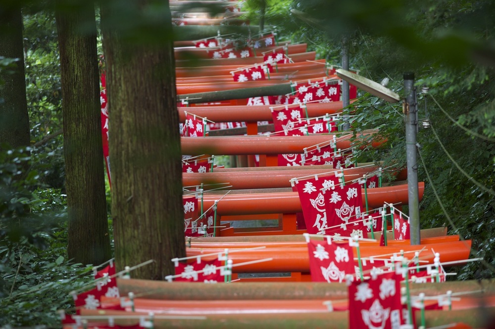 鎌倉・神社仏閣巡りラン・西側コースの写真6
