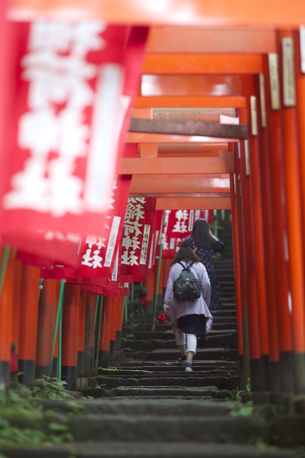 鎌倉・神社仏閣巡りラン・西側コースの写真7