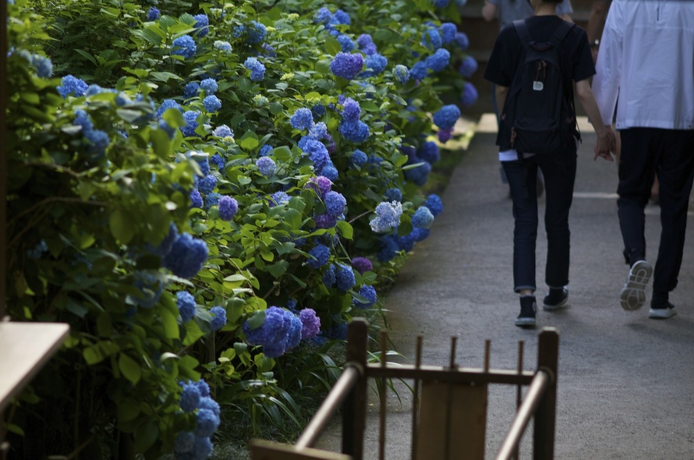鎌倉・神社仏閣巡りラン・東側コースの写真4