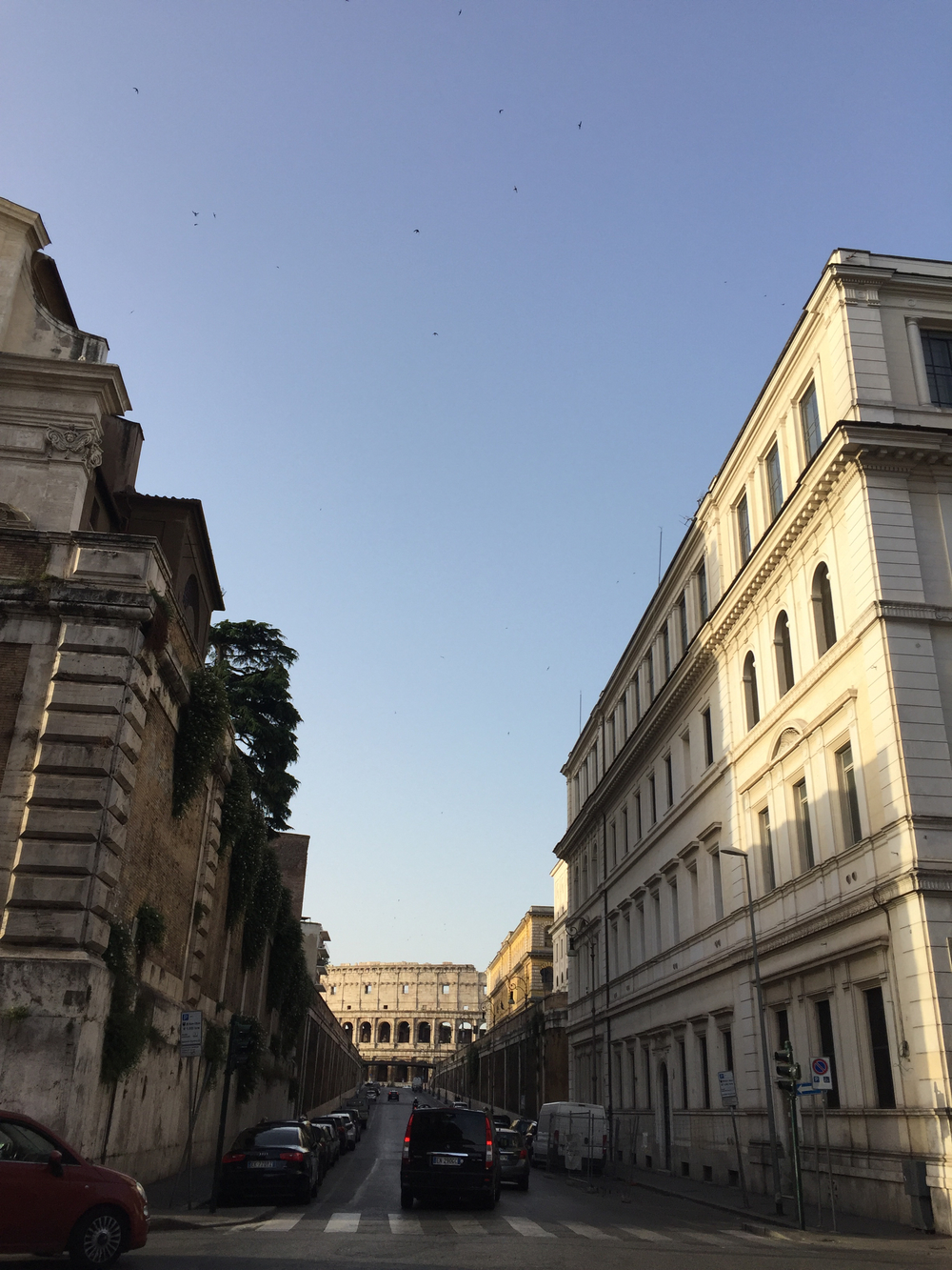 ローマシティランの写真5