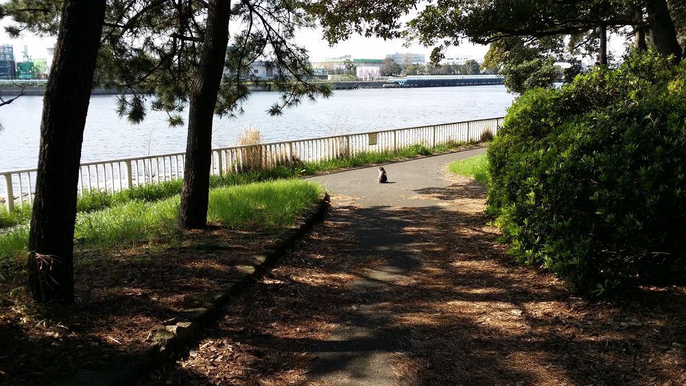 猫の小道・京浜島緑道公園の写真6