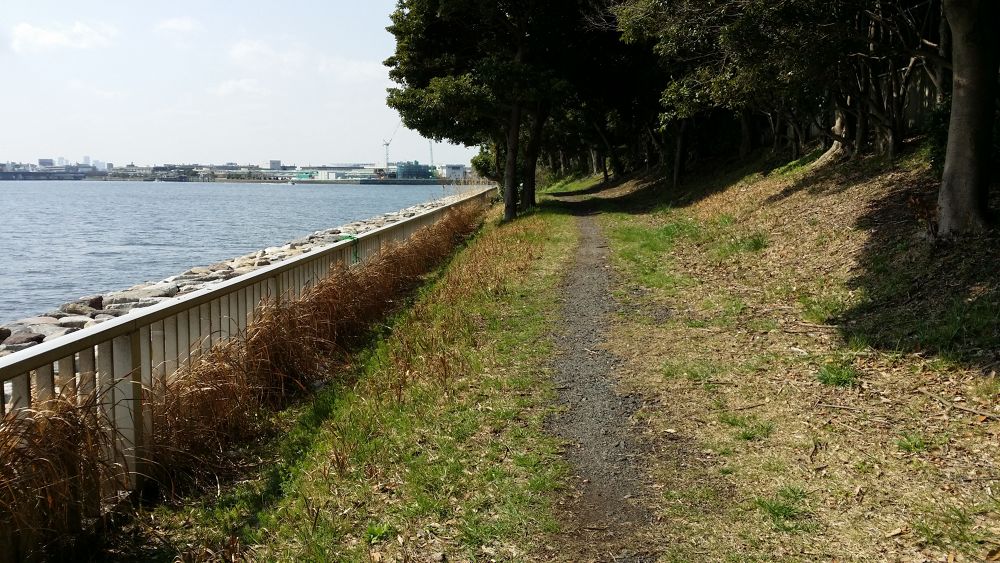 猫の小道・京浜島緑道公園の写真7