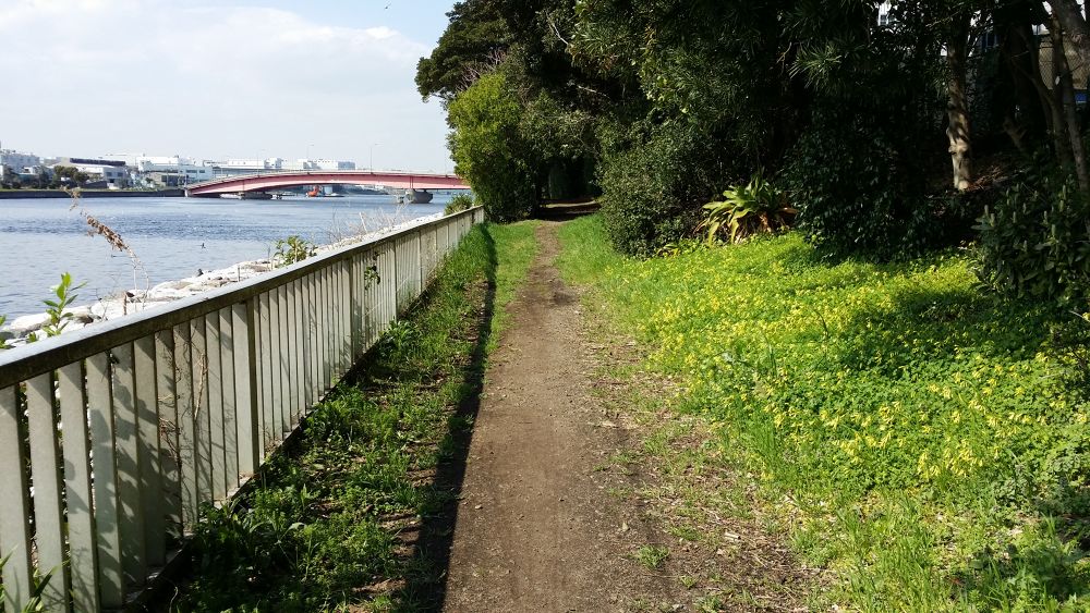 猫の小道・京浜島緑道公園の写真8