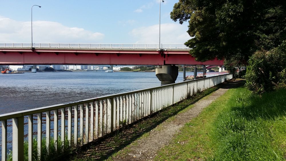 猫の小道・京浜島緑道公園の写真9