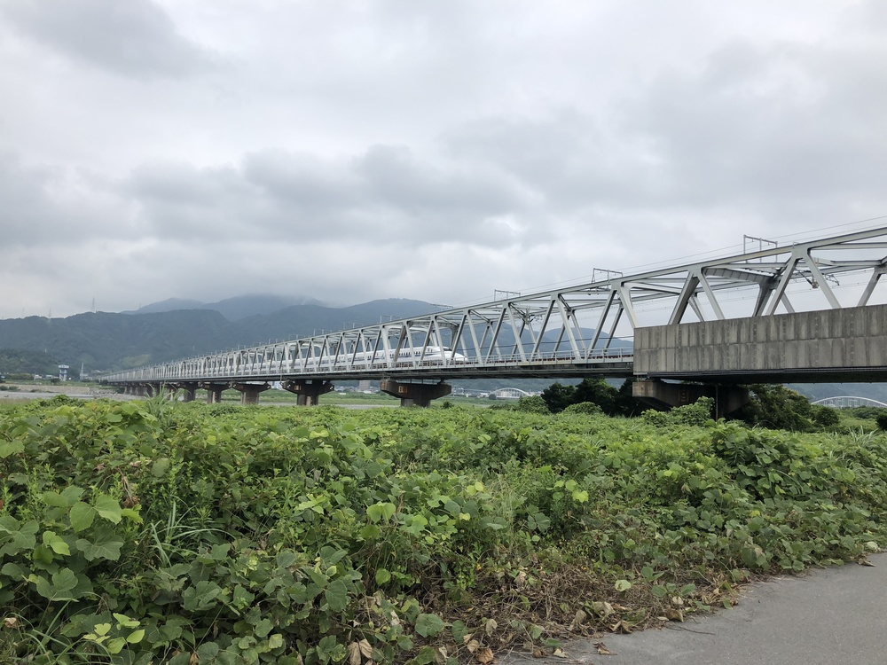 富士川・水神・富士川緑地公園の両岸橋巡り9.7kmの写真3